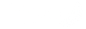 新TRINAGE